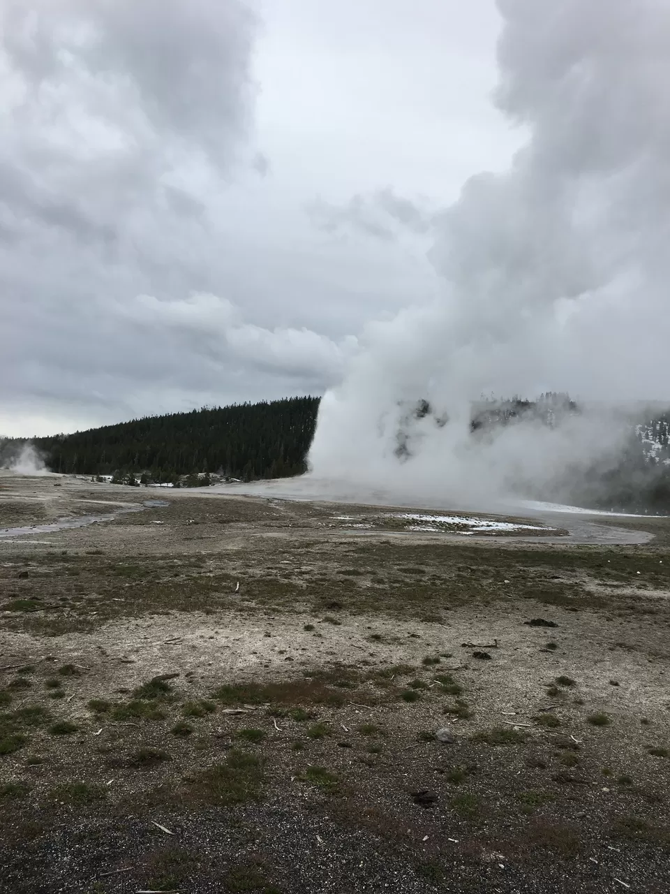 Photo of 4 Days in Yellowstone National Park [2017] by Ashish G