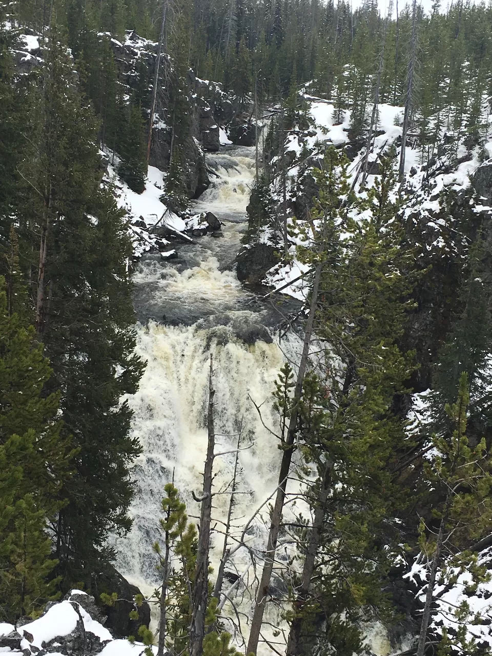 Photo of 4 Days in Yellowstone National Park [2017] by Ashish G