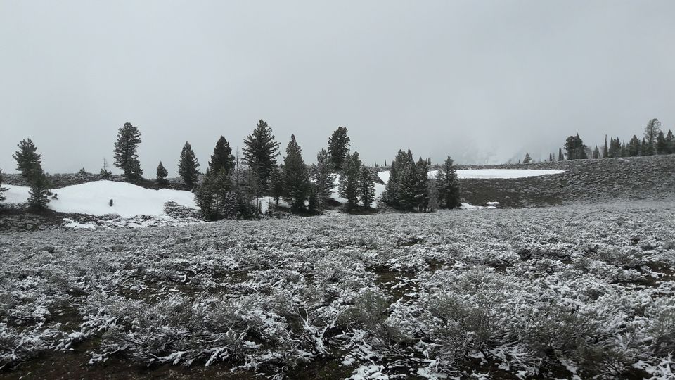 Photo of 4 Days in Yellowstone National Park by Ashish G