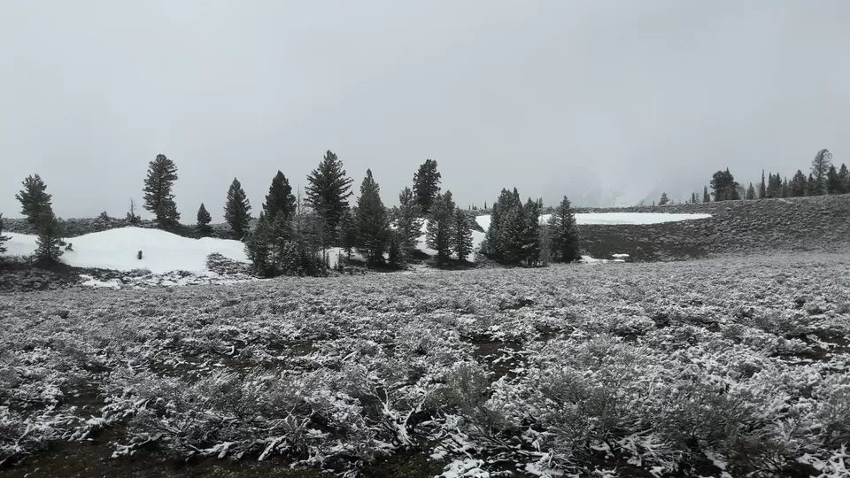 Photo of 4 Days in Yellowstone National Park [2017] by Ashish G