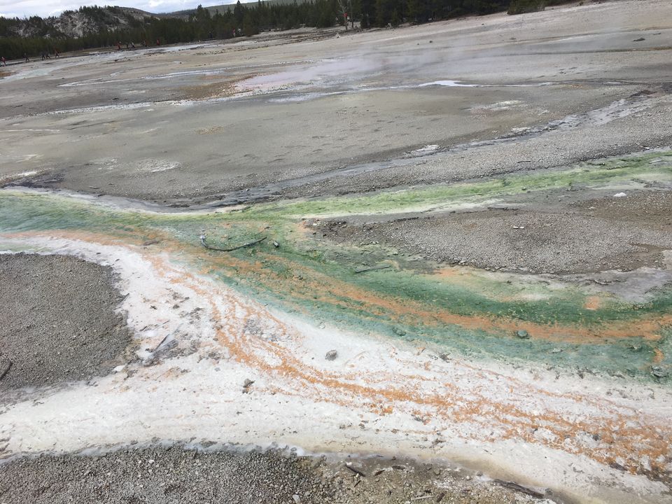 Photo of 4 Days in Yellowstone National Park by Ashish G