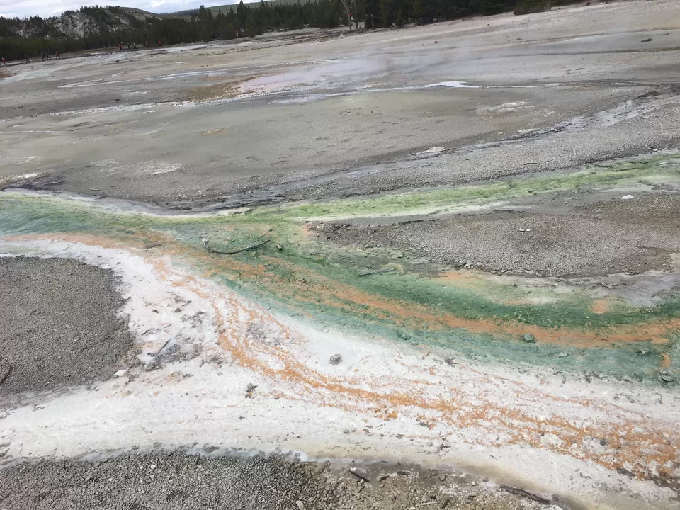 Photo of 4 Days in Yellowstone National Park [2017] by Ashish G