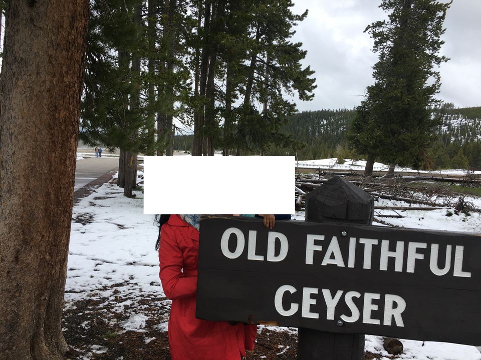 Photo of 4 Days in Yellowstone National Park by Ashish G