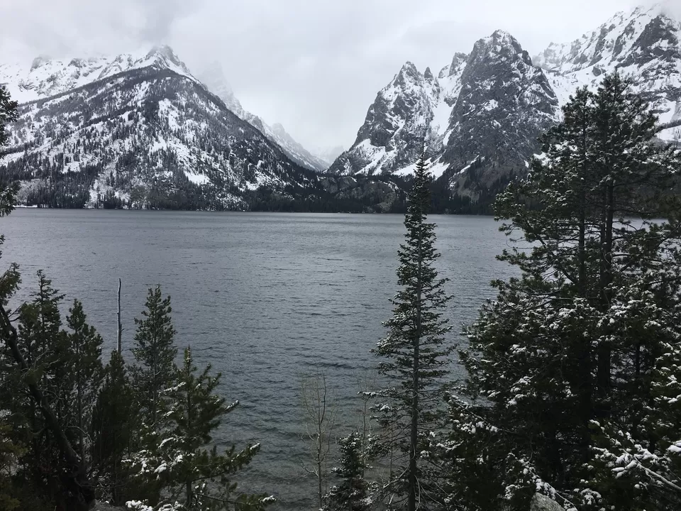 Photo of 4 Days in Yellowstone National Park [2017] by Ashish G