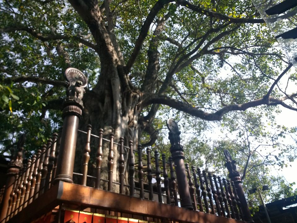 Photo of Gangaramaya Temple, Sri Jinarathana Road, Colombo, Sri Lanka by Ashish G