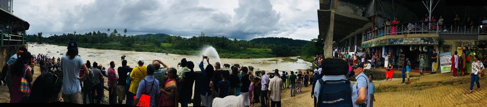 Photo of Pinnawala Elephant Orphanage Bus Stop, Kegalle-Rambukkana Rd, Rambukkana, Sri Lanka by Ashish G