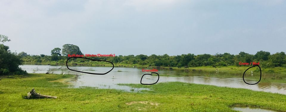 Photo of Udawalawa, Sri Lanka by Ashish G