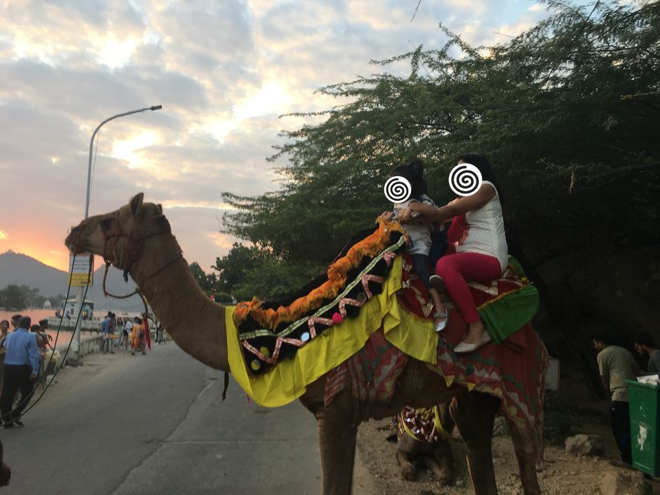 Photo of Udaipur - Your rendezvous with Royalty, Culture, and Nature #rajasthaninphotos 11/23 by Ashish G