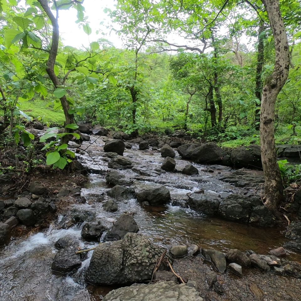 Photo of Rajmachi- A Trek Through the Ancient Trade Route by Asmita Nikalje