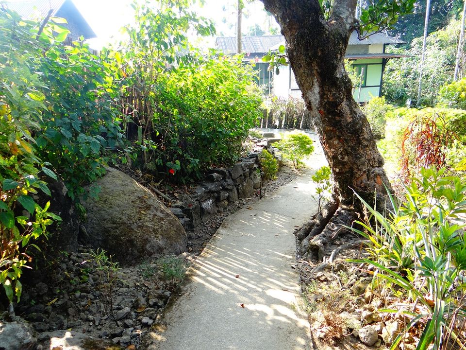 Photo of Mawlynnong, the peaceful, clean and serene village at Indo-Bangla Border 6/9 by megha goyal