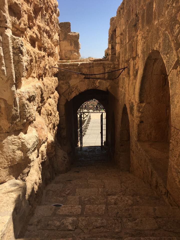 Photo of Ajloun Castle, Ajloun, Ajloun Governorate, Jordan by megha goyal