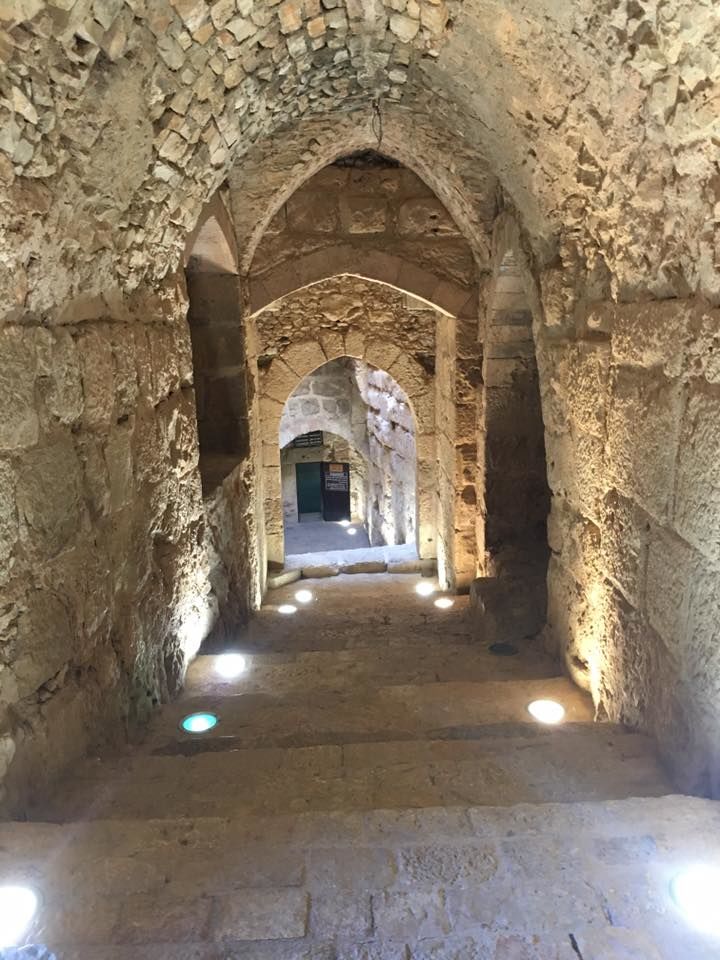 Photo of Jordan, lesser known travelling jewel by megha goyal