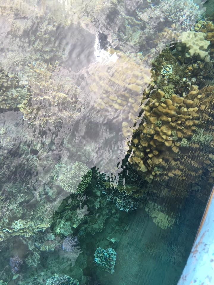 Photo of Aqaba, Aqaba Governorate, Jordan by megha goyal