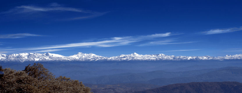 Photo of Binsar, Uttarakhand, India by megha goyal