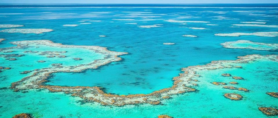 Photo of Great Barrier Reef, Queensland, Australia by megha goyal