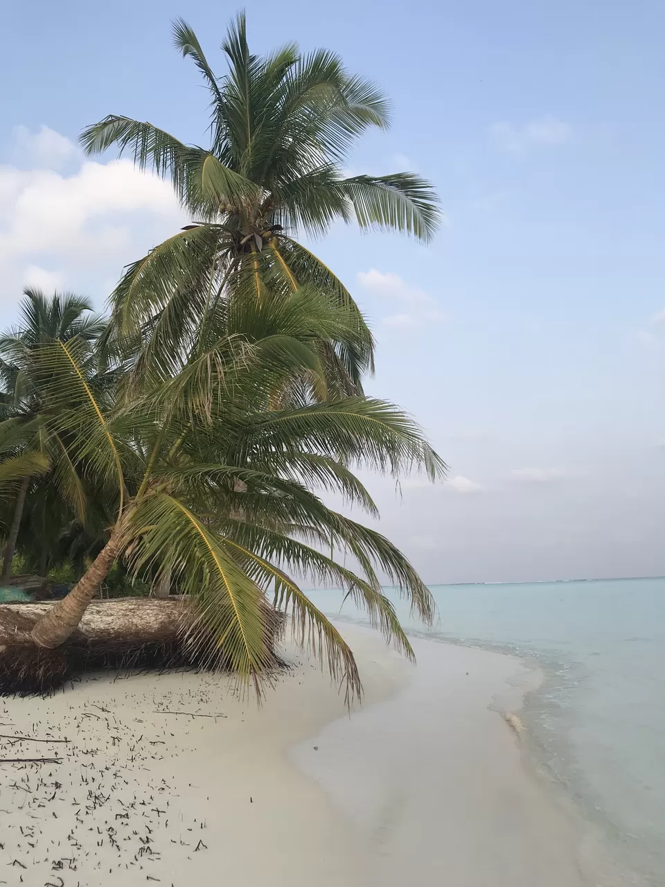 Photo of Tinnakara Island by megha goyal