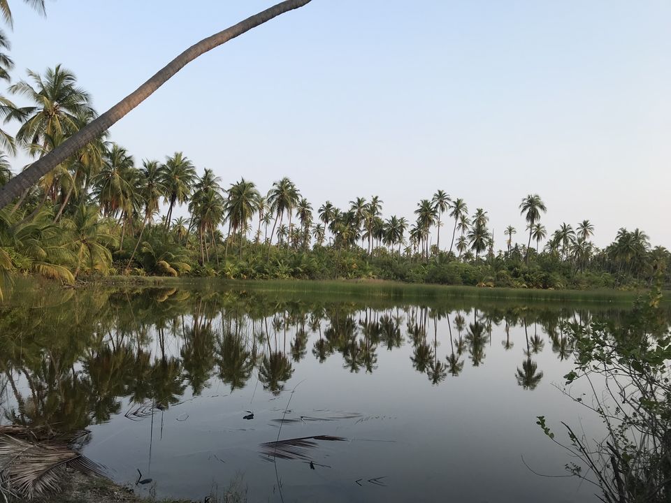 Photo of Lakshadweep, India’s answer to Maldives! by megha goyal