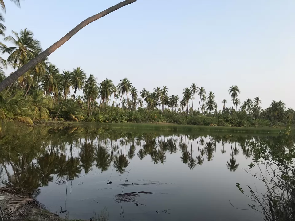 Photo of Lakshadweep, India’s answer to Maldives! by megha goyal