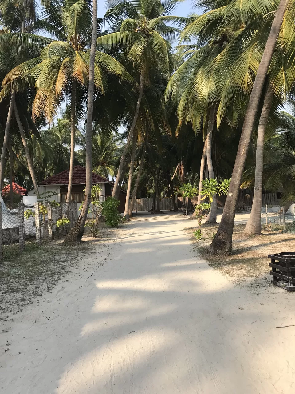Photo of Agatti, Lakshadweep, India by megha goyal