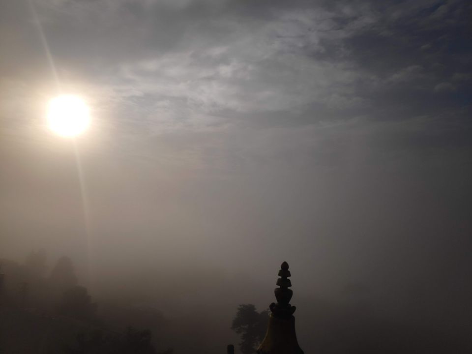 Photo of Experience the mist in north WB by Mrunal Vaidya