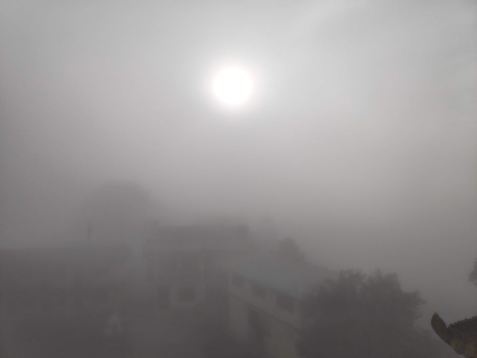 Photo of Experience the mist in north WB by Mrunal Vaidya