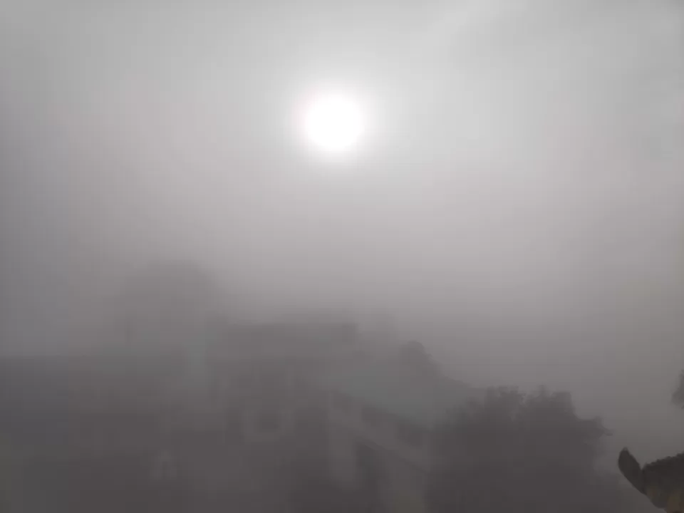 Photo of Experience the mist in north WB by Mrunal Vaidya