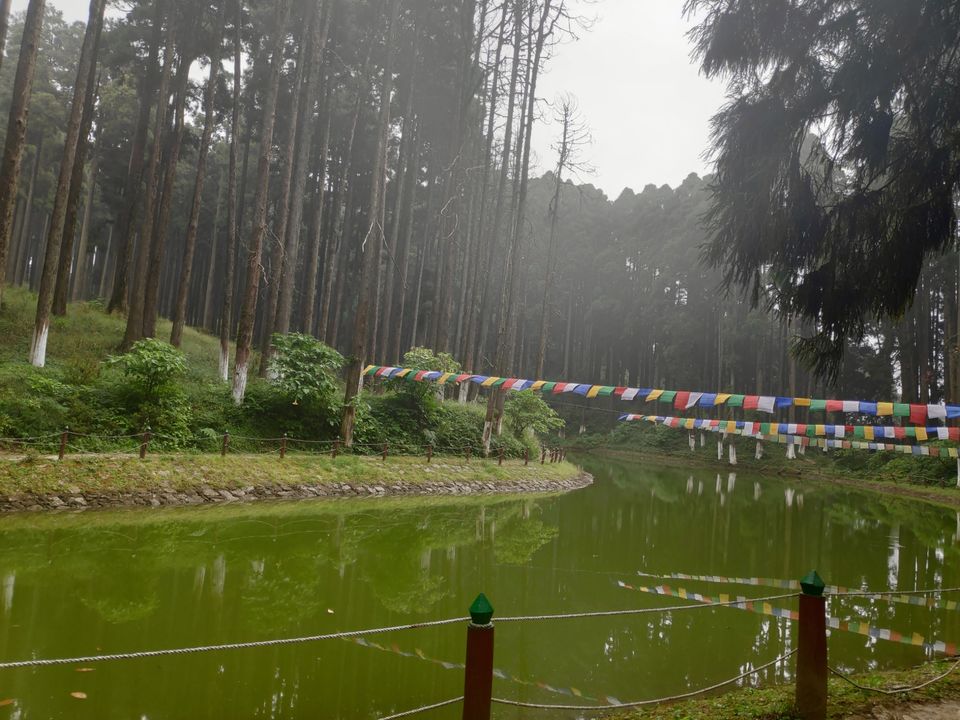 Photo of Experience the mist in north WB by Mrunal Vaidya