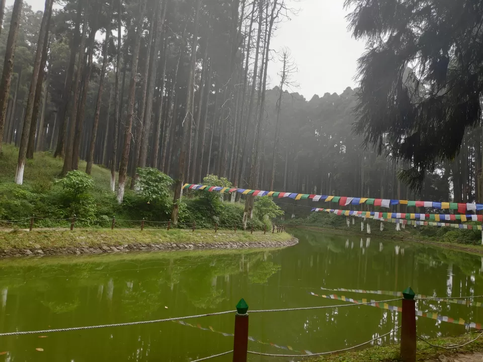 Photo of Experience the mist in north WB by Mrunal Vaidya