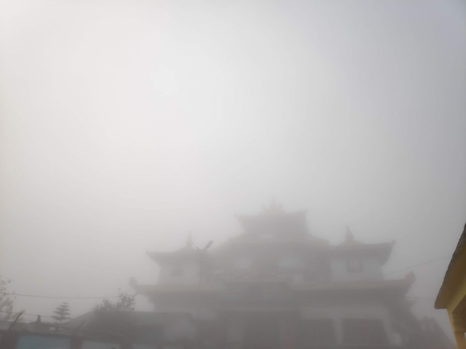 Photo of Experience the mist in north WB by Mrunal Vaidya