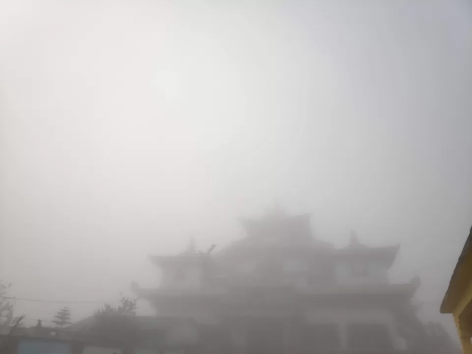 Photo of Experience the mist in north WB by Mrunal Vaidya