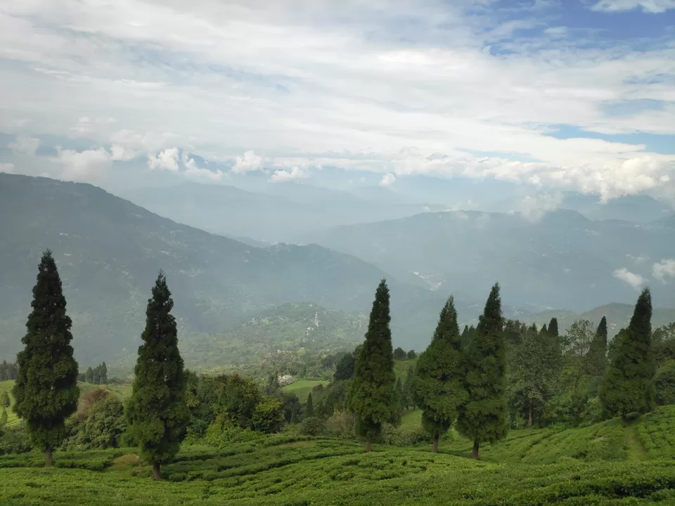Photo of Experience the mist in north WB by Mrunal Vaidya
