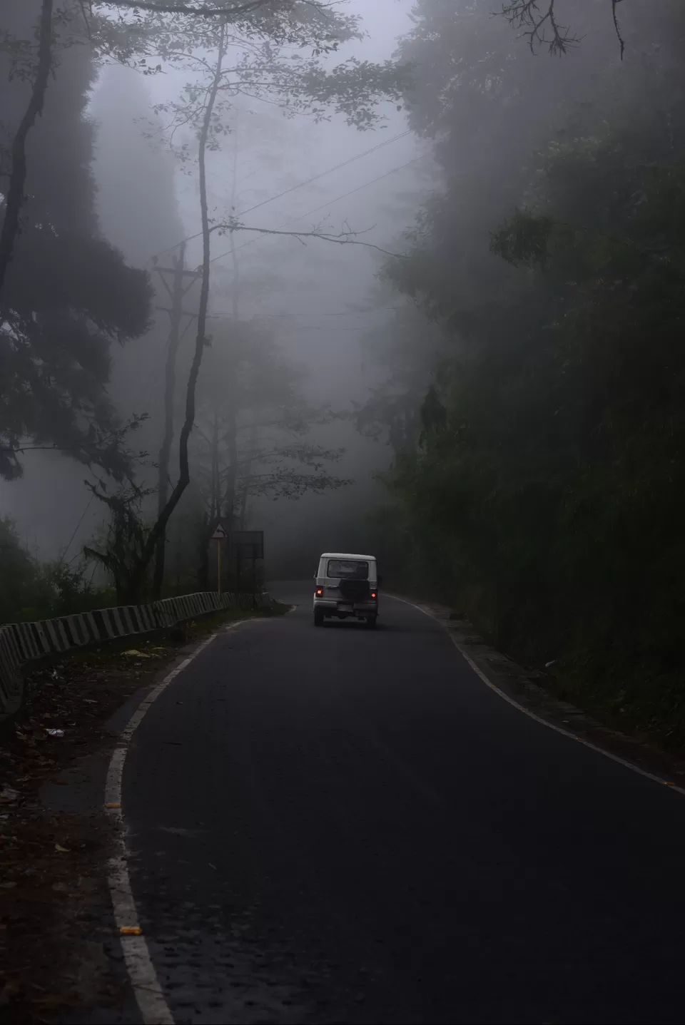 Photo of Experience the mist in north WB by Mrunal Vaidya