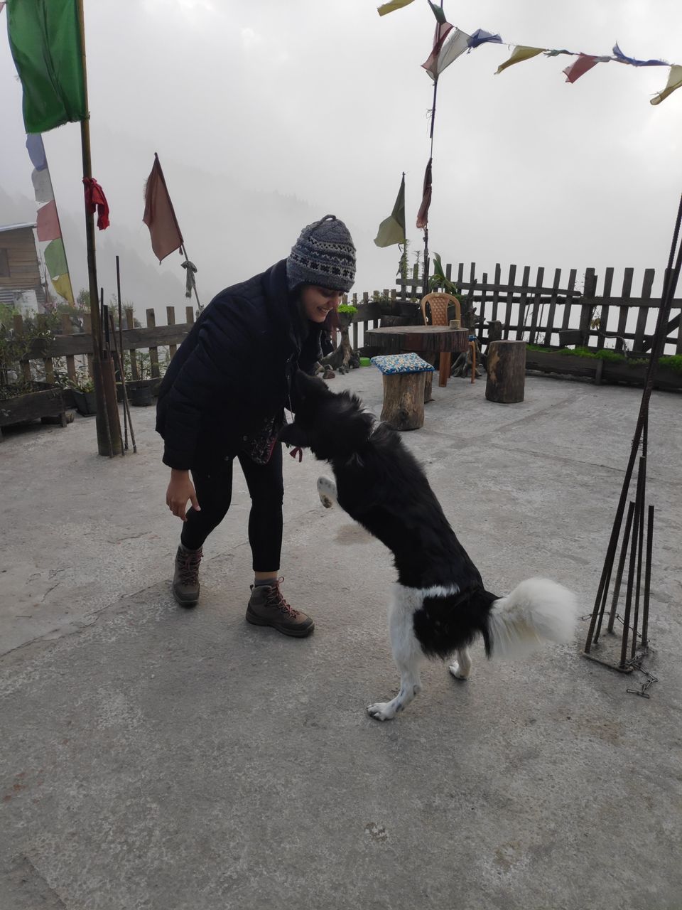 Photo of Experience the mist in north WB by Mrunal Vaidya