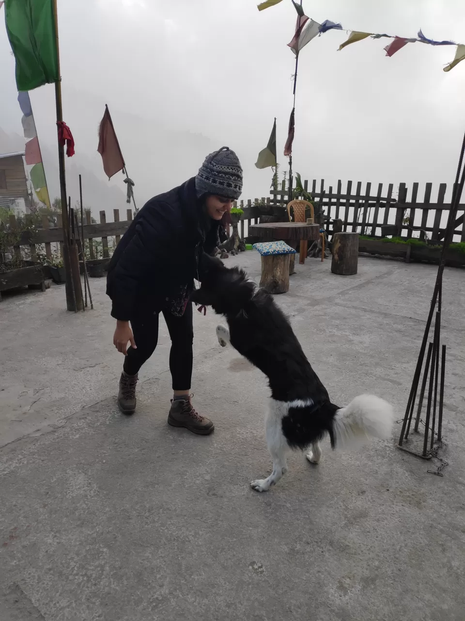 Photo of Experience the mist in north WB by Mrunal Vaidya