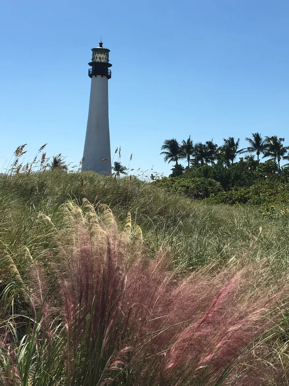 Photo of Miami Lighthouse For the Blind, Southwest 8th Avenue, Miami, FL, USA by Poonam Valecha