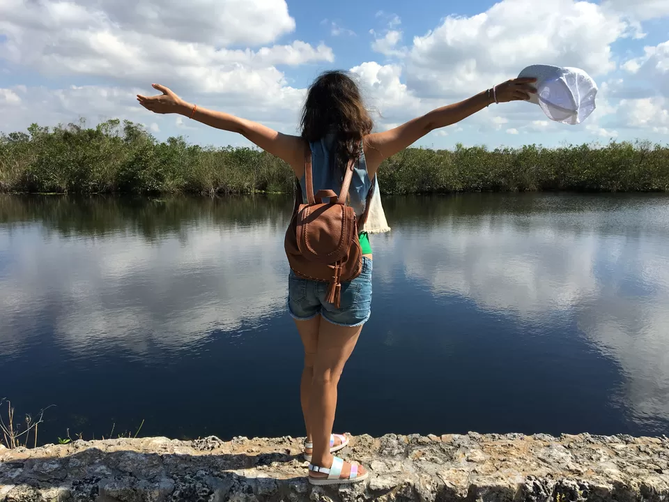 Photo of Everglades National Park, Lincoln Road, Miami Beach, Florida, USA by Poonam Valecha