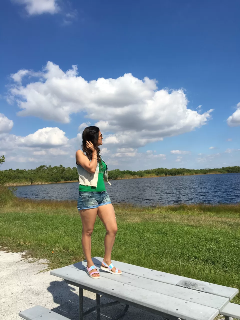 Photo of Everglades National Park, Lincoln Road, Miami Beach, Florida, USA by Poonam Valecha