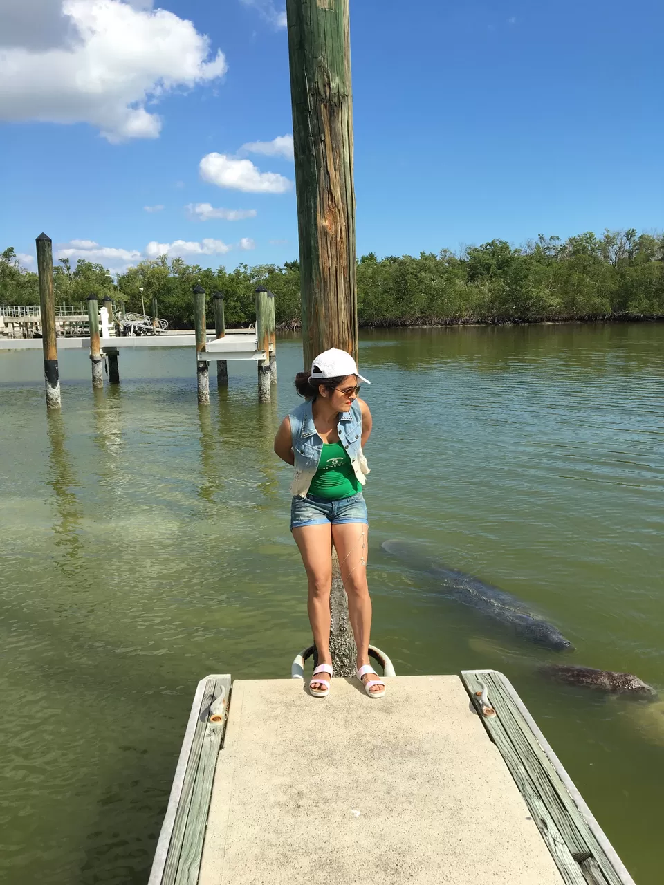 Photo of Everglades National Park, Lincoln Road, Miami Beach, Florida, USA by Poonam Valecha