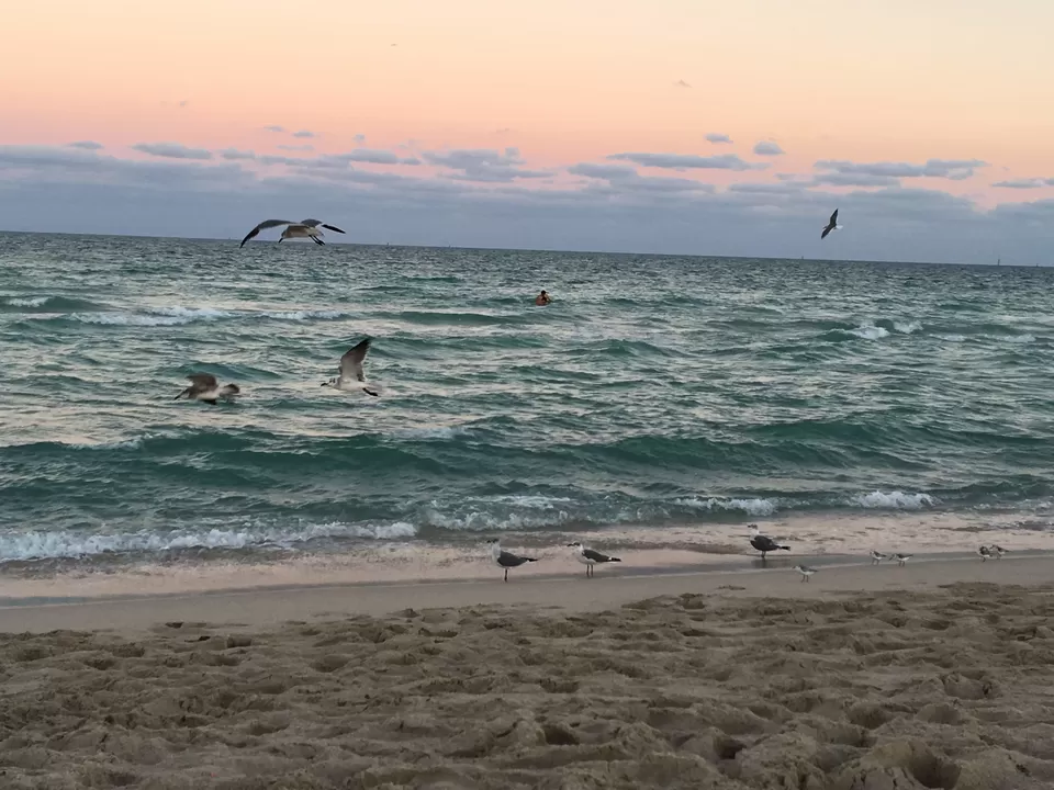 Photo of North Beach, Miami Beach, FL, USA by Poonam Valecha