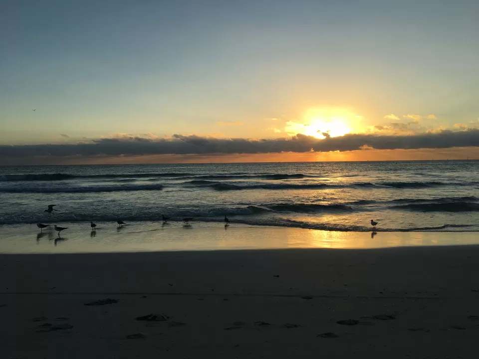 Photo of North Beach, Miami Beach, FL, USA by Poonam Valecha