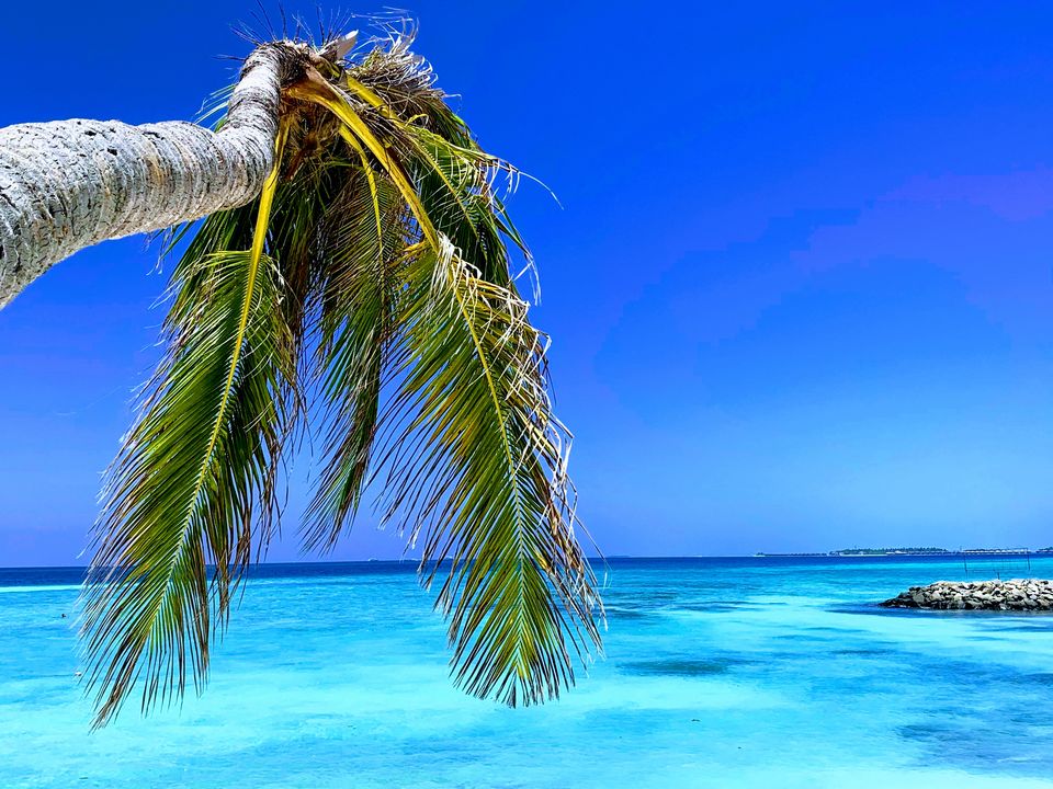 Photo of Falling in Love with the Blue Heaven- Maldives #TripbeforeLockdown 36/49 by Poonam Valecha