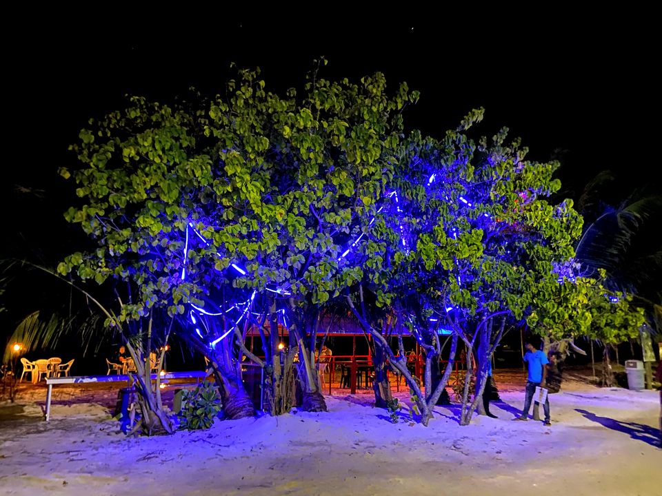 Photo of Falling in Love with the Blue Heaven- Maldives #TripbeforeLockdown 41/49 by Poonam Valecha