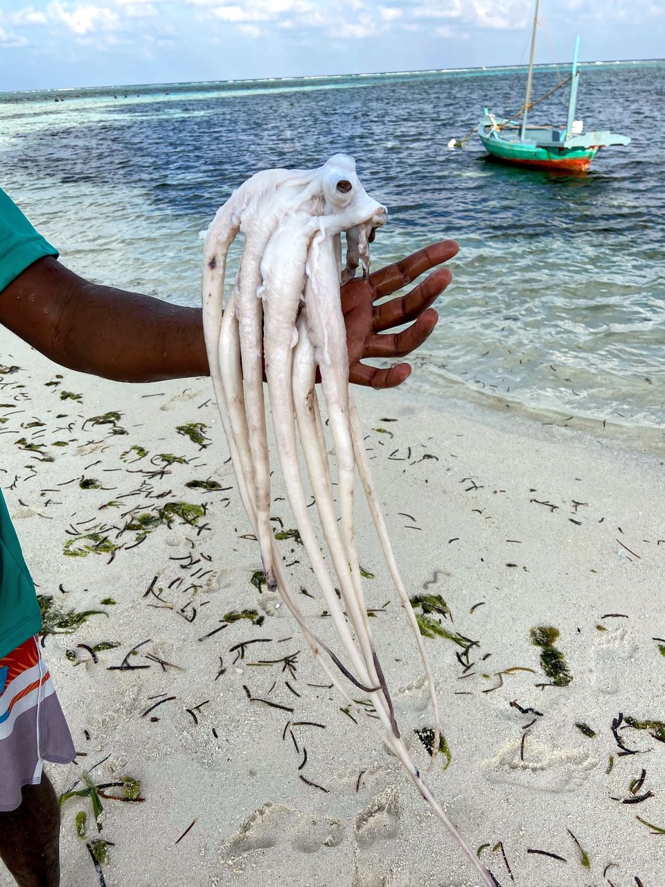Photo of Falling in Love with the Blue Heaven- Maldives #TripbeforeLockdown 42/49 by Poonam Valecha