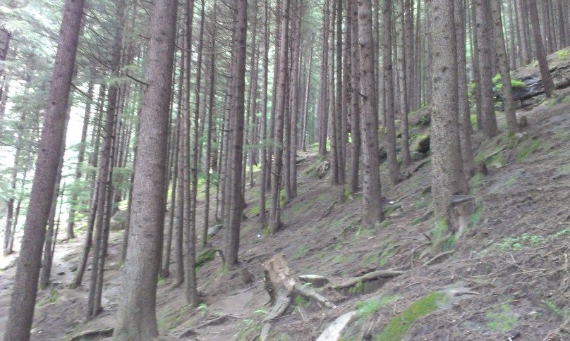 Photo of Manali Scrapbook by Anupriya