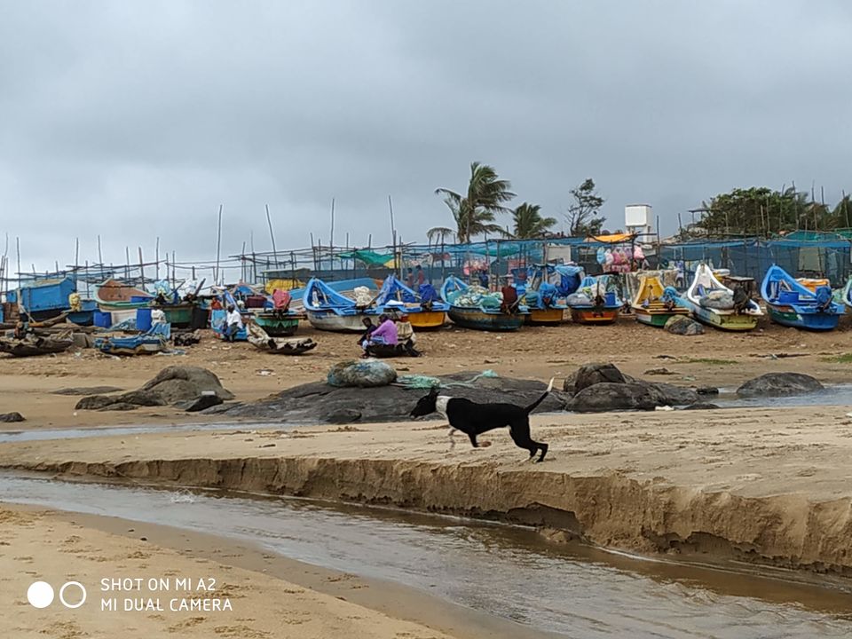 Photo of Covelong Beach- A hidden gem of Tamil Nadu 3/6 by Anupriya