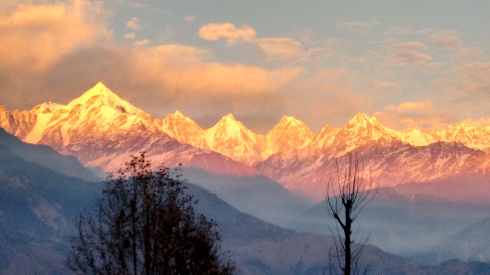 Photo of by Anupriya
