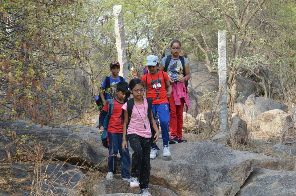 Photo of Outdoor and Adventure Summer Camp 1/1 by syed sultan