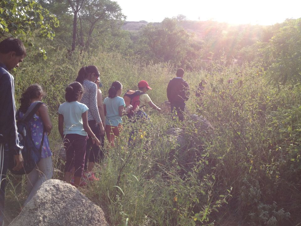 Photo of Outdoor and Adventure Summer Camp by syed sultan