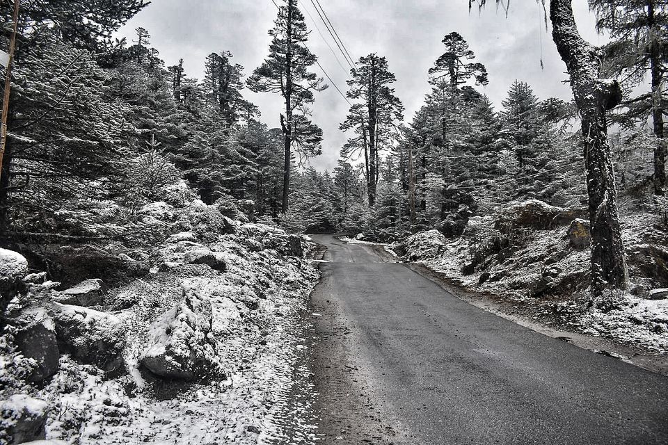 Photo of Lachung, Sikkim, India by Somya Rakshit