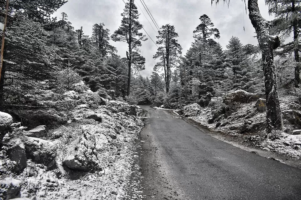 Photo of Lachung, Sikkim, India by Somya Rakshit